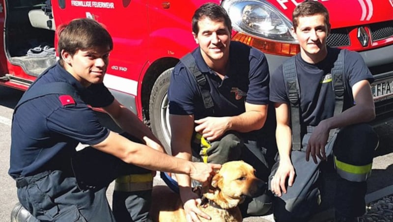 Simon, Lucas und Bernhard von der Wasserfeuerwehr Angern a.d. March brachten den Hund ins Tierheim. (Bild: Feuerwehr Angern an der March)