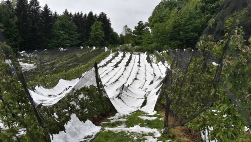 Unter dem Gewicht des Schnees gaben auch die Abdeckungen rasch nach. (Bild: ÖHV)