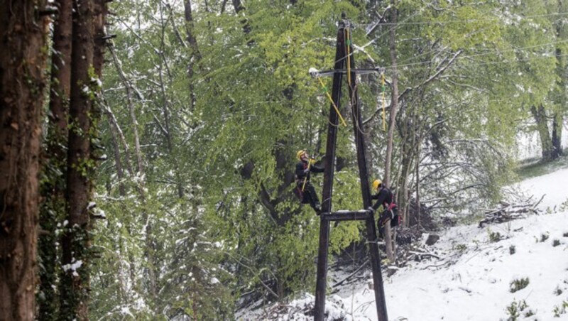 Etliche Stromleitungen mussten repariert werden. (Bild: APA/ENERGIE STEIERMARK)