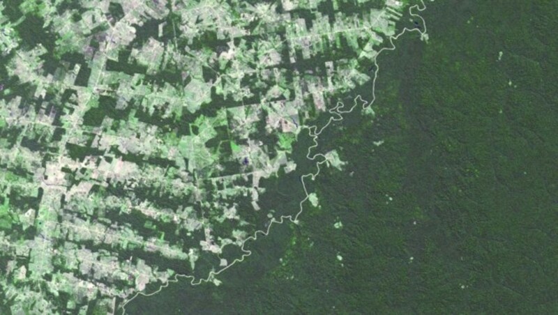 Brasilianisch-bolivianische Grenze (Bild: NASA)