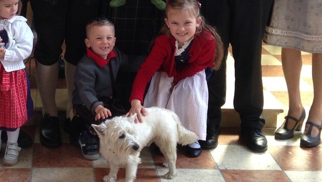 Ausreißer "Bongi" ist jetzt erster getaufter West Highland Terrier (Bild: Guttner)