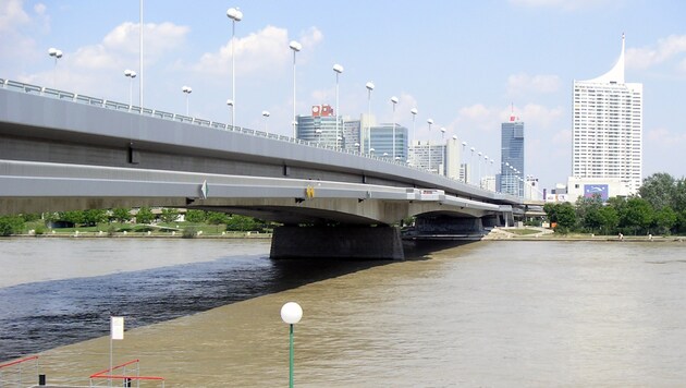 Nahe der Wiener Reichsbrücke entdeckten die Passanten den Mann in der Donau. (Bild: Wolfgang Pribitzer/Priwo)