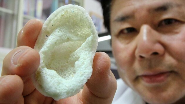 Ein Forscher der Universität Tokio zeigt ein mittels 3D-Drucker aus Polyactiden gefertigtes Ohr. (Bild: AFP)
