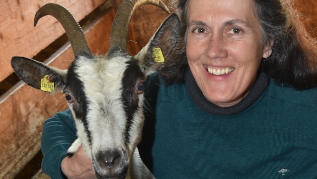 "Ich liebe Ziegen", sagt Ruth Maria Wallner, die die seltenen Pfauenziegen züchtet. (Bild: Wolfgang Weber)