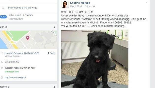 Auch auf Facebook suchen die Worsegs nach ihrem Hund. (Bild: Screenshot facebook.com)