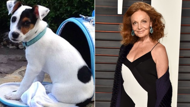 Diane von Furstenberg ließ ihren Hund klonen. (Bild: instagram.com/dvf, APA/AFP/GETTY IMAGES/PASCAL LE SEGRETAIN)