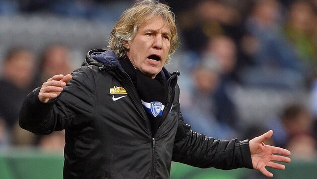 Bochum-Coach Gertjan Verbeek (Bild: GEPA)