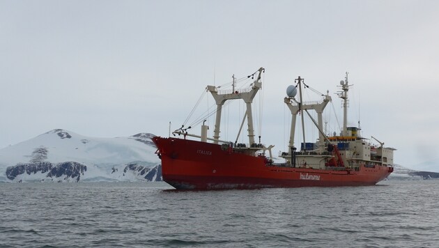 Mit dem Frachter "Italica" ging es für die Techniker in die Antarktis. (Bild: Büro Steinbacher)