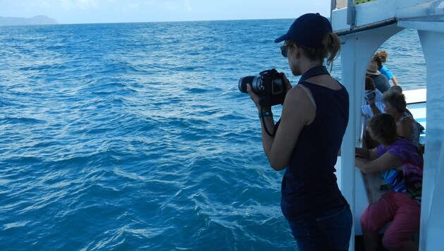 Saskia Kißler hilft bei den Whale-Watching-Touren tatkräftig mit. (Bild: zVg)