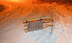 Pro Jahr müssen in Österreich mehr als 2000 Verletzte nach Rodelunfällen in einem Spital ...