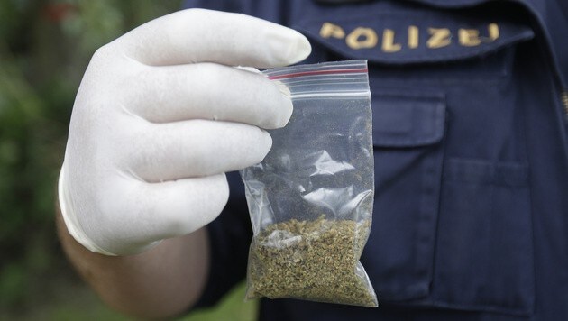 Die Polizei entdeckte eine Cannabis-Plantage der beiden Tennengauer. (Symbolbild) (Bild: APA/GEORG HOCHMUTH)