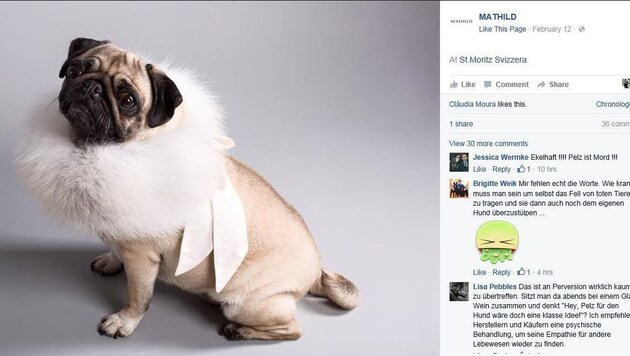 Auf Facebook überschlagen sich die Reaktionen auf den Pelz für Hunde, wie dieser Screenshot zeigt. (Bild: Screenshot facebook.com/mathild00)