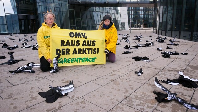 (Bild: Greenpeace/Hans Hochstoeger)