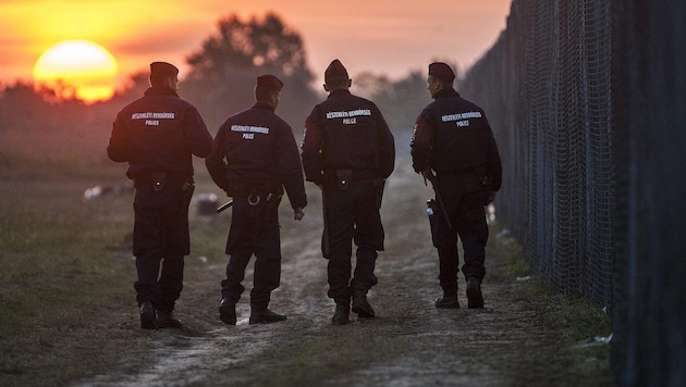 Patrouille an der serbisch-ungarischen Grenze in Röszke (Bild: APA/EPA/SANDOR UJVARI)