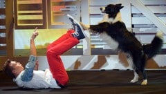 Tiertrainer Lukas aus Wien und sein Hund "Falco" gewannen das "Supertalent" im Jahr 2013. (Bild: dpa)