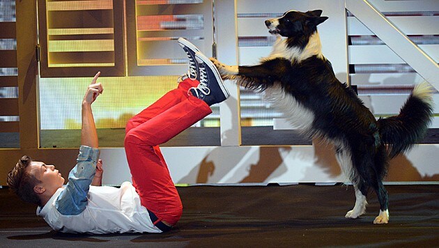Tiertrainer Lukas aus Wien und sein Hund "Falco" gewannen das "Supertalent" im Jahr 2013. (Bild: dpa)