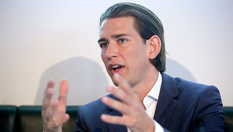 Außenminister Sebastian Kurz (Bild: APA/Georg Hochmuth)