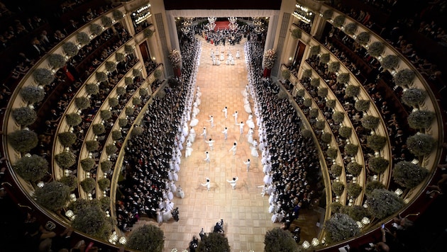 Opernball 2016 (Bild: APA/HERBERT NEUBAUER)