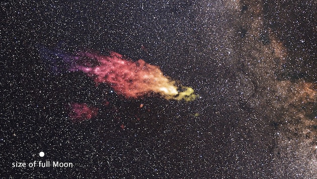 Die auf die Milchstraße zurasende Smith-Wolke in Falschfarben (Bild: Saxton/Lockman/NRAO/AUI/NSF/Mellinger)