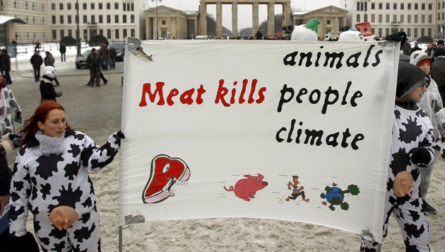 Umweltschützer demonstrieren gegen die Klimaerwärmung durch Tierhaltung. (Bild: APA/dpa/Wolfgang Kumm)
