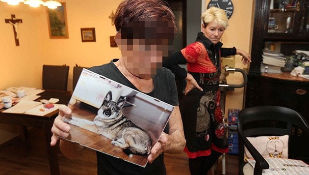Das 72-jährige Vergewaltigungsopfer mit seiner Tochter und einem Bild von Hündin "Gina" (Bild: Reinhard Judt)