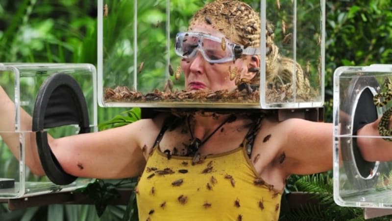 Eine Kakerlake im Ohr lässt bei Helena alle Dämme brechen. (Bild: RTL)