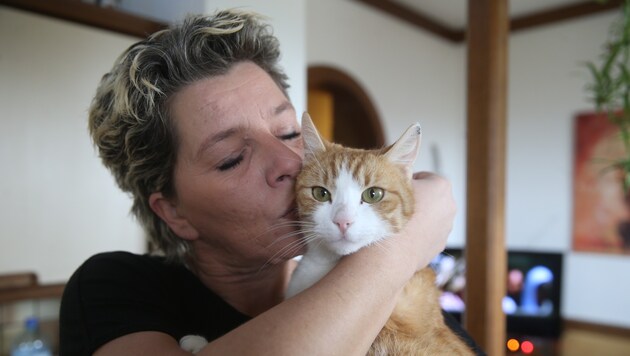 Erholt sich jetzt liebevoll umsorgt von ihrer Familie: Katze "Misty" (Bild: Sepp Pail)