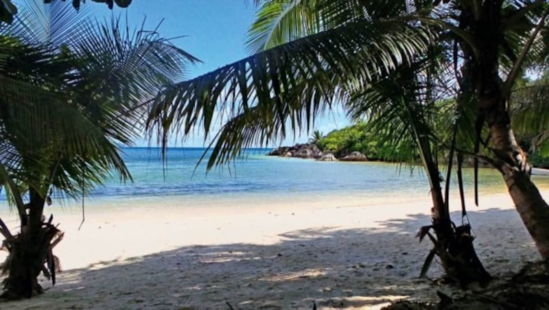 Überall auf den Seychellen: idyllische Strandkulisse und kristallklares Wasser (Bild: Irene Kain)