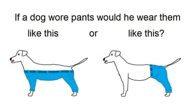 Diese Grafik löste eine Welle an Reaktionen aus - "Wie würde ein Hund eine Hose tragen?" (Bild: facebook.com/Utopian Raspberry - Modern Oasis Machine)