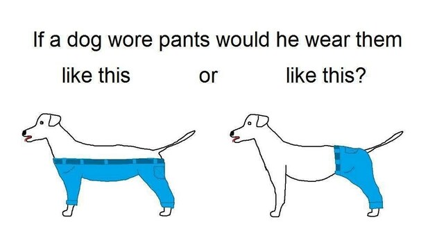 Diese Grafik löste eine Welle an Reaktionen aus - "Wie würde ein Hund eine Hose tragen?" (Bild: facebook.com/Utopian Raspberry - Modern Oasis Machine)