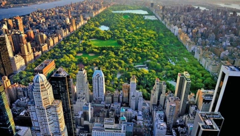 Die "grüne Lunge" von New York: der imposante Central Park im Herzen Manhattans (Bild: Fotolia)