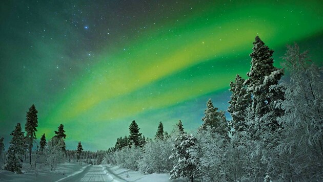 Grüne Polarlichter sind in Lappland häufig zu beobachten. (Bild: fotolia.com)