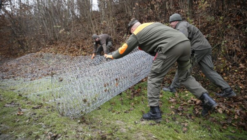 (Bild: APA/ERWIN SCHERIAU)