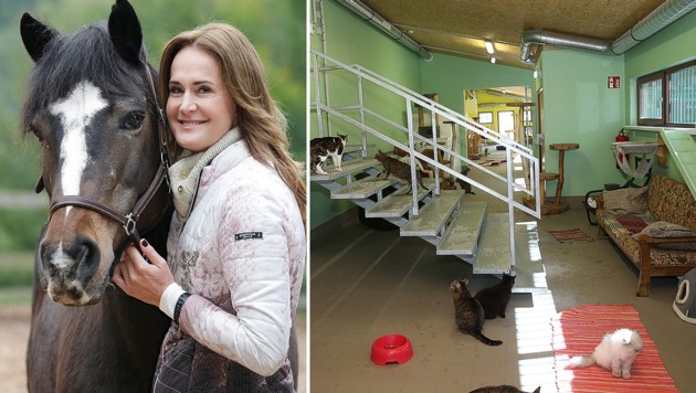 Maggie Entenfellner mit "Felicitas", das neue Katzenhaus der "Tierecke" (Bild: Klemens Groh, Peter Tomschi)