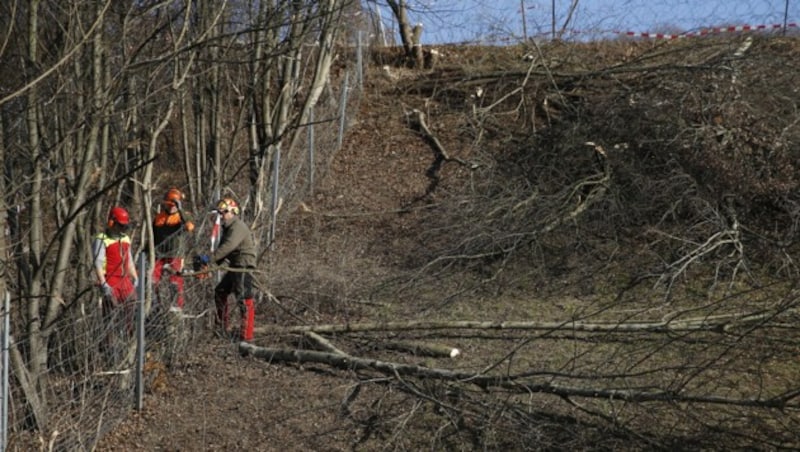 (Bild: APA/ERWIN SCHERIAU)