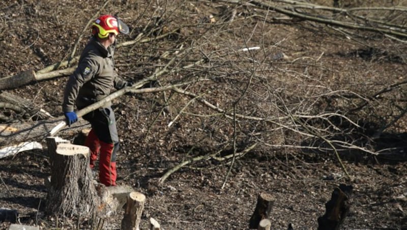 (Bild: APA/ERWIN SCHERIAU)