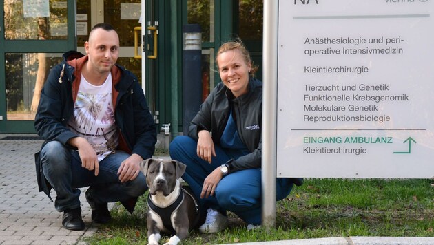 Tierärztin Eva Schnabl-Feichter rettete den schwer verletzten "Pacco". Sein Herrl ist dankbar. (Bild: Felizitas Steindl/Vetmeduni Vienna)