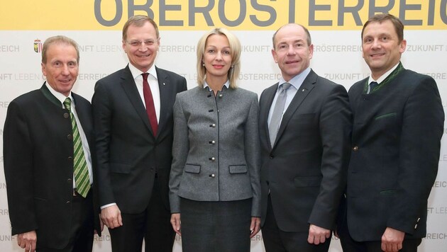 Moser mit Gratulanten: Walter Wolf, Thomas Stelzer, Max Hiegelsberger und Hubert Huber (v. l.). (Bild: Land OÖ)