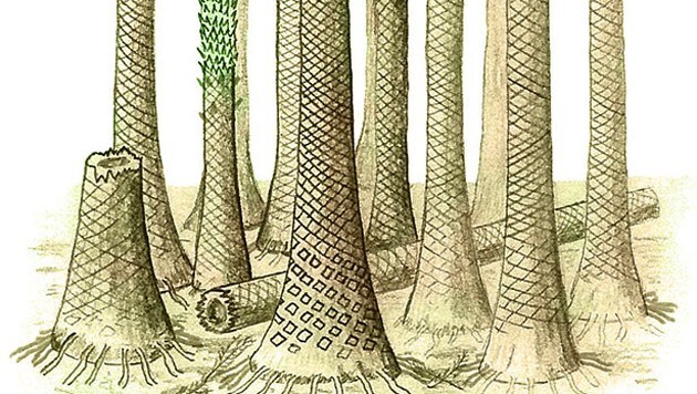 Künstlerische Illustration des fossilen Waldes (Bild: © Cardiff University/Chris Berry)