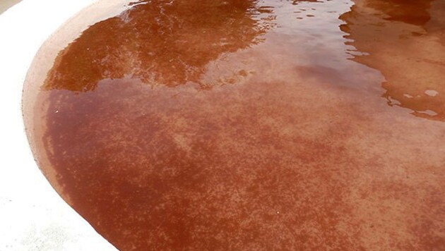 Blutrot gefärbtes Wasser in einem Becken in Fuente Encalada (Bild: Javier Fernández-Lozano)