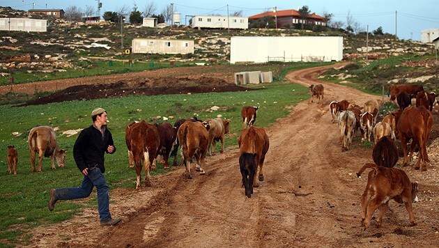 Eine jüdische Siedlung im Westjordanland (Bild: ABIR SULTAN/EPA/picturedesk.com)