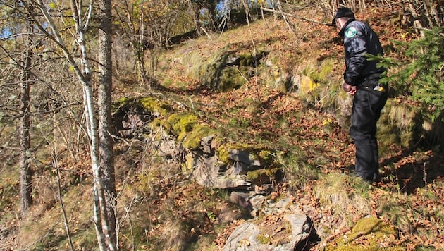 Stockinger zeigt den Steinweg, der vor 5000 Jahren errichtet wurde (Bild: Hannes Wallner)