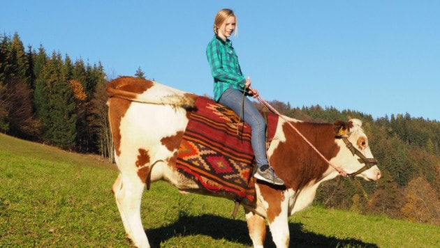 Fest im Sattel sitzt Marlene (13) auf Kuh "Sindi". (Bild: Gabriele Moser)