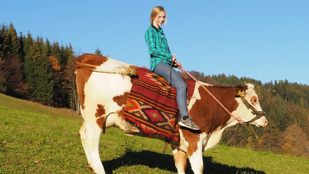 Fest im Sattel sitzt Marlene (13) auf Kuh "Sindi". (Bild: Gabriele Moser)