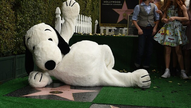 Snoopy hat jetzt auch einen Stern am "Walk of Fame". (Bild: APA/AFP/ROBYN BECK)