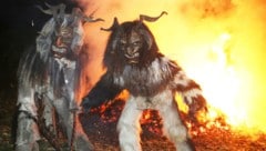 Krampusläufe erfreuen sich großer Beliebtheit, doch die Zeiten für die Perchten werden härter (Bild: Kronen Zeitung)