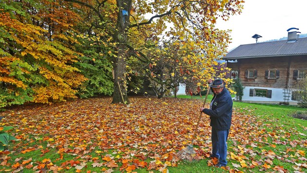Garten-Experte Hannes Kerschdorfer gibt Tipps. So soll etwa das Laub vor dem Winter entfernt werden. (Bild: Christof Birbaumer/Kronenzeitung)
