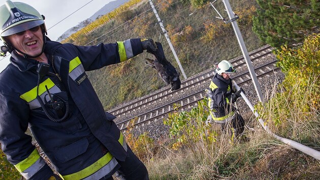 (Bild: BFK Baden/Stefan Schneider)