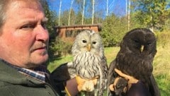 Dietmar Streitmaier mit einem Kärntner Habichtskauz und dem dunklen Besucher aus den Karpaten (Bild: Hannes Wallner)