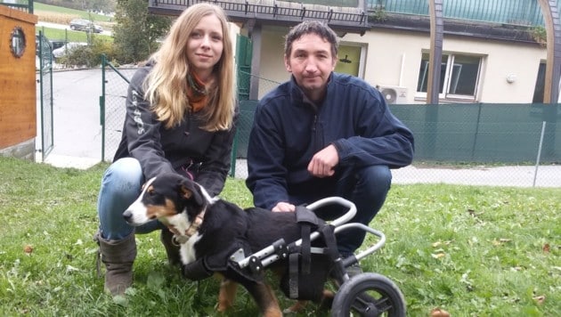 Gerhard Juen und Kristin Müller mit "Toni" in seinem Rollstuhl. (Bild: Andreas Moser)